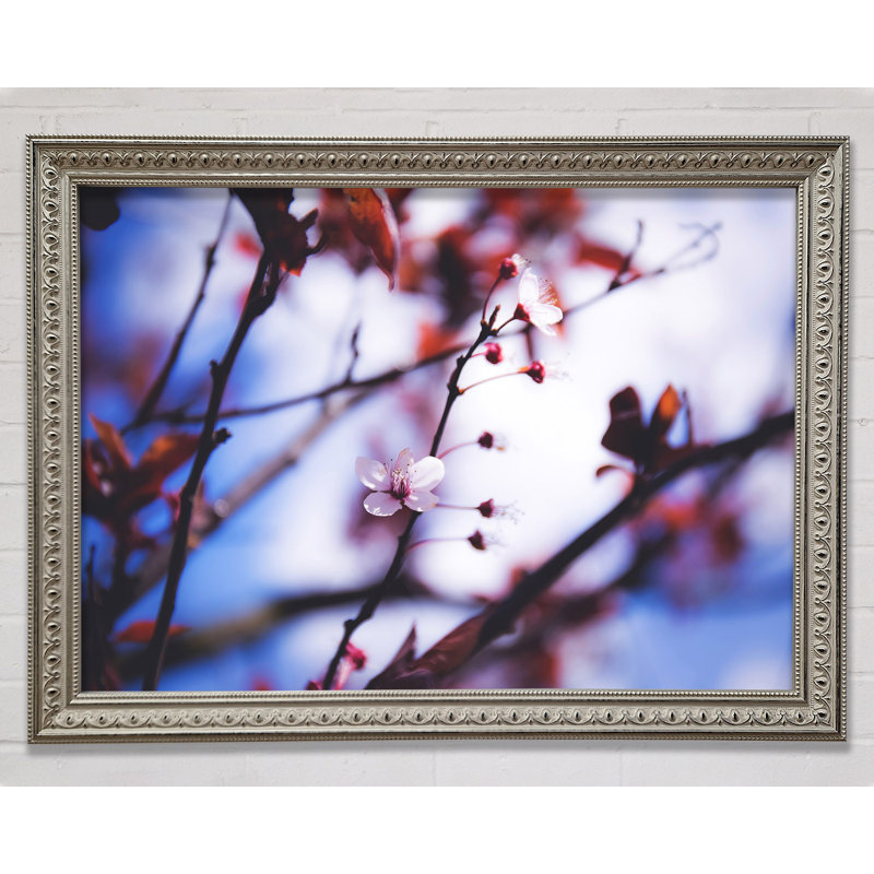 Tree Blossom Last Standing - Single Picture Frame Print, 84.1cm H x 118.9cm W