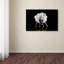 « danse », reproduction de photo sur toile-25774157-25774160-89160833