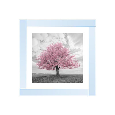 Mirror Frame Print on Canvas