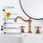2-handle Bathroom Faucet with Drain Assembly-80451367