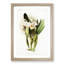 Magnolia Flowers Illustration Tab.93 by Frederick Sander - Picture Frame Art Print-55760631-55760634
