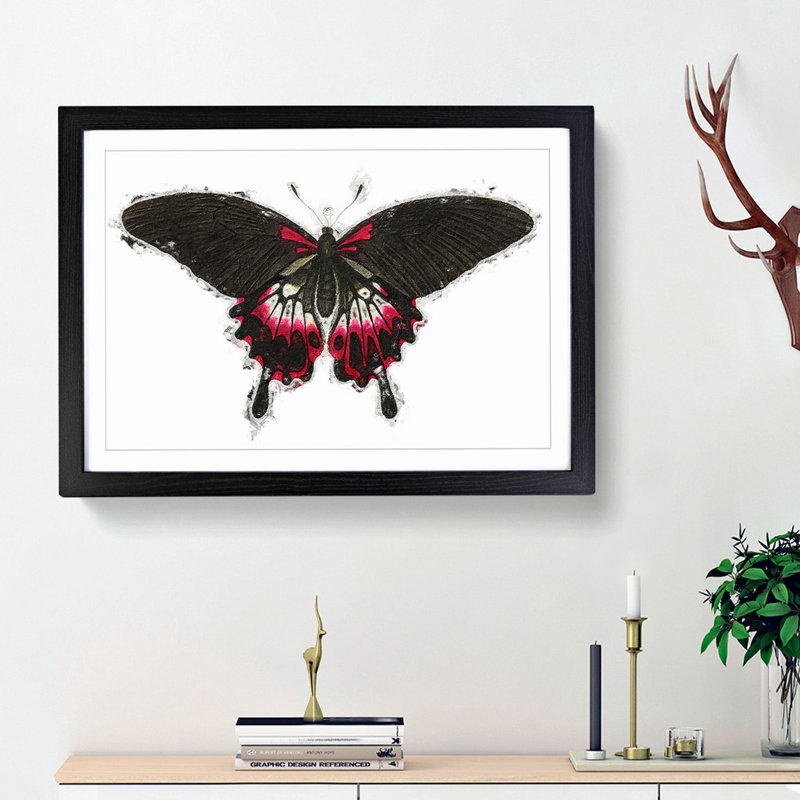 Swallow-Tailed Butterfly by George Shaw - Framed Print, 27cm H x 36cm W x 2cm D, Black Framed