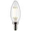 4 Watt Clear LED Bulb-72273352