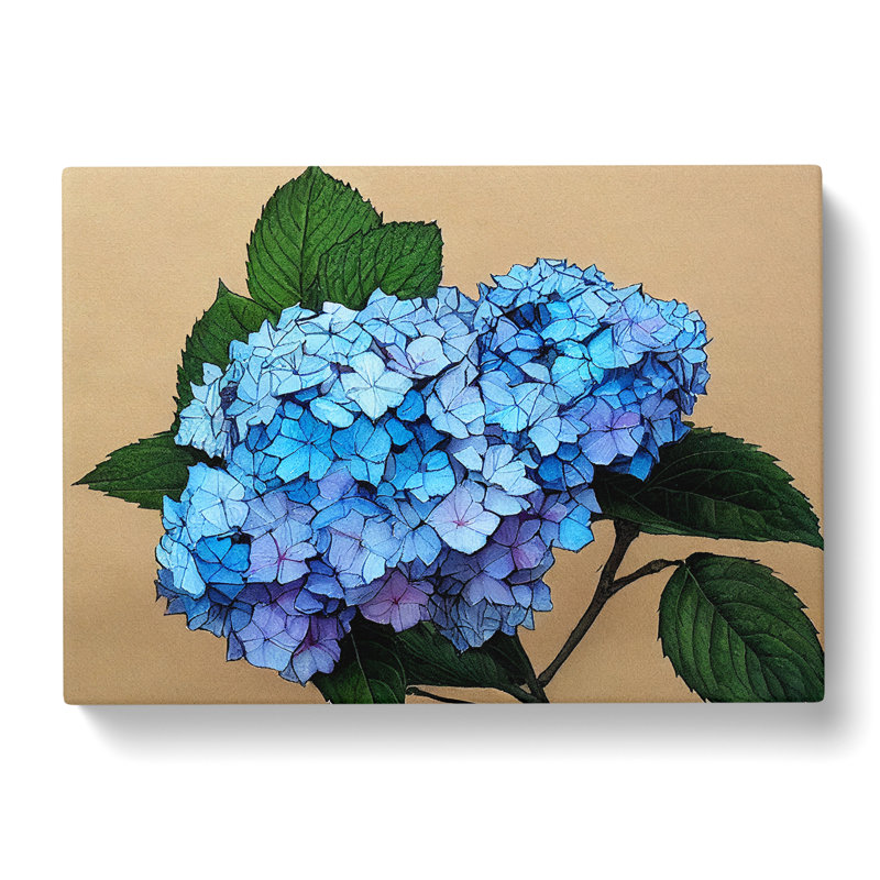 Sumptuous Hydrangea Flowers - Wrapped Canvas