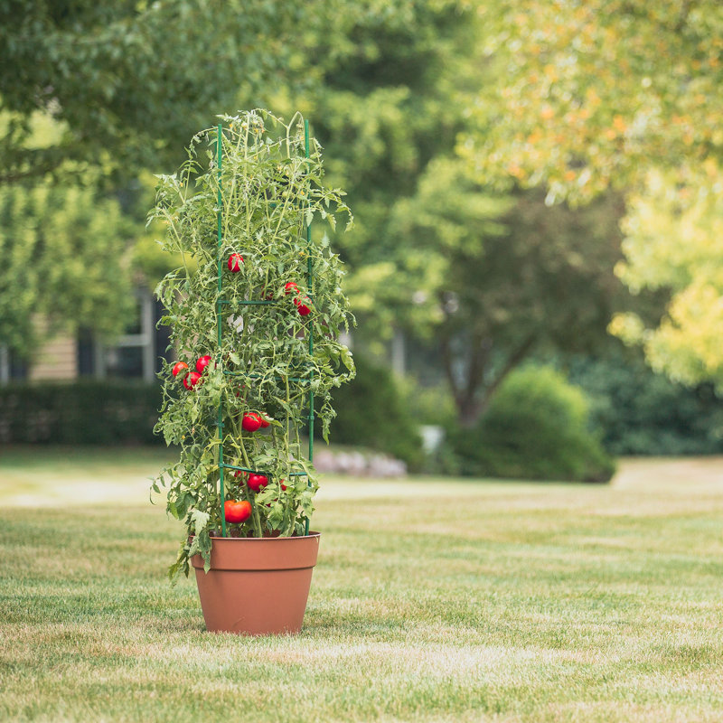 Support pour plantes Eastman
