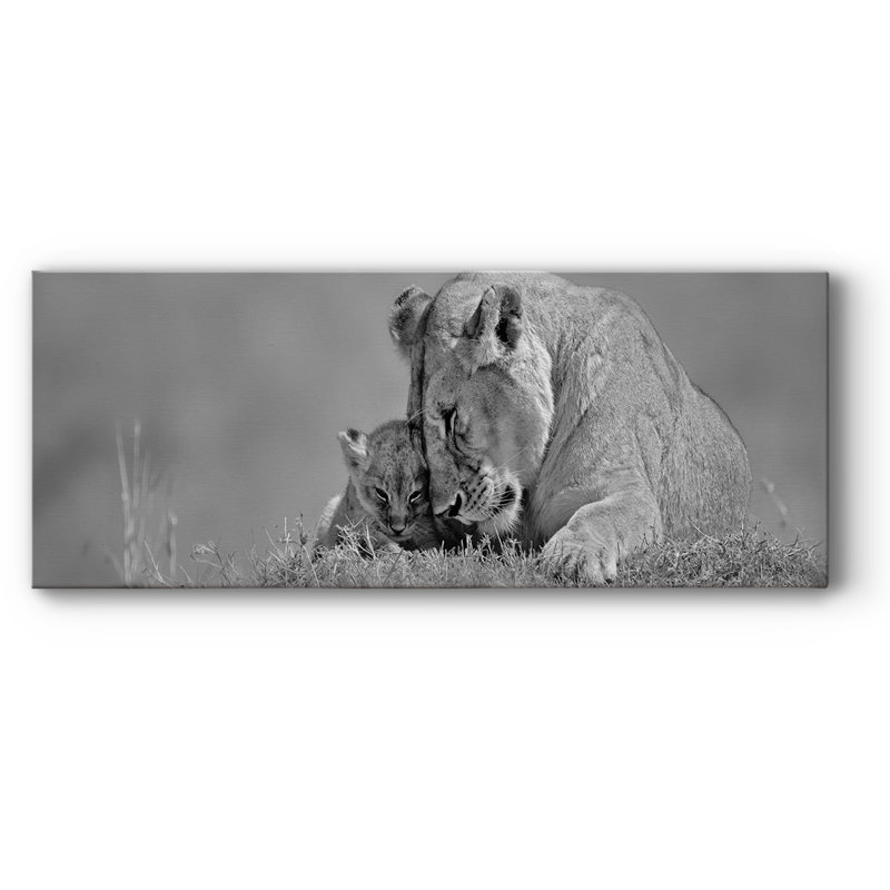 «Lioness Love», toile tendue avec châssis, H 24 po x l 60 po x P 1,5 po