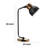 Metal Desk Lamp