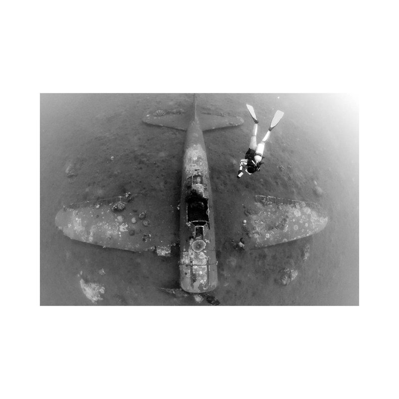 Diver Explores The Wreck Of A Mitsubishi Zero Fighter Plane by Steve Jones - Wrapped Canvas Print, 20.32 cm H x 30.48 cm W