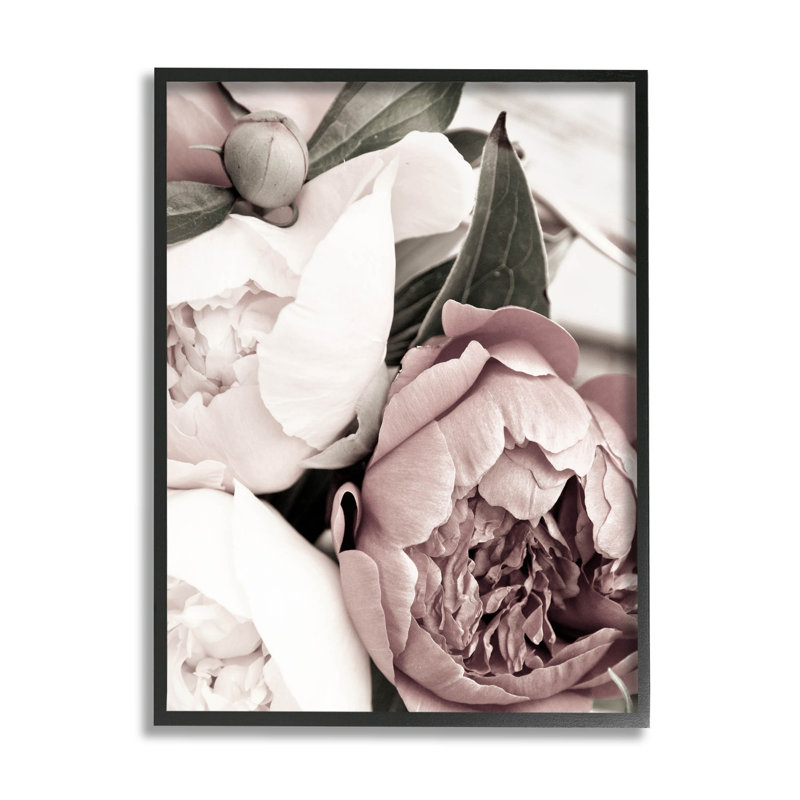 Gros plan de pétales de pivoines en herbe, art de la giclée par Malerifabrikken, Giclée encadrée noir minuit