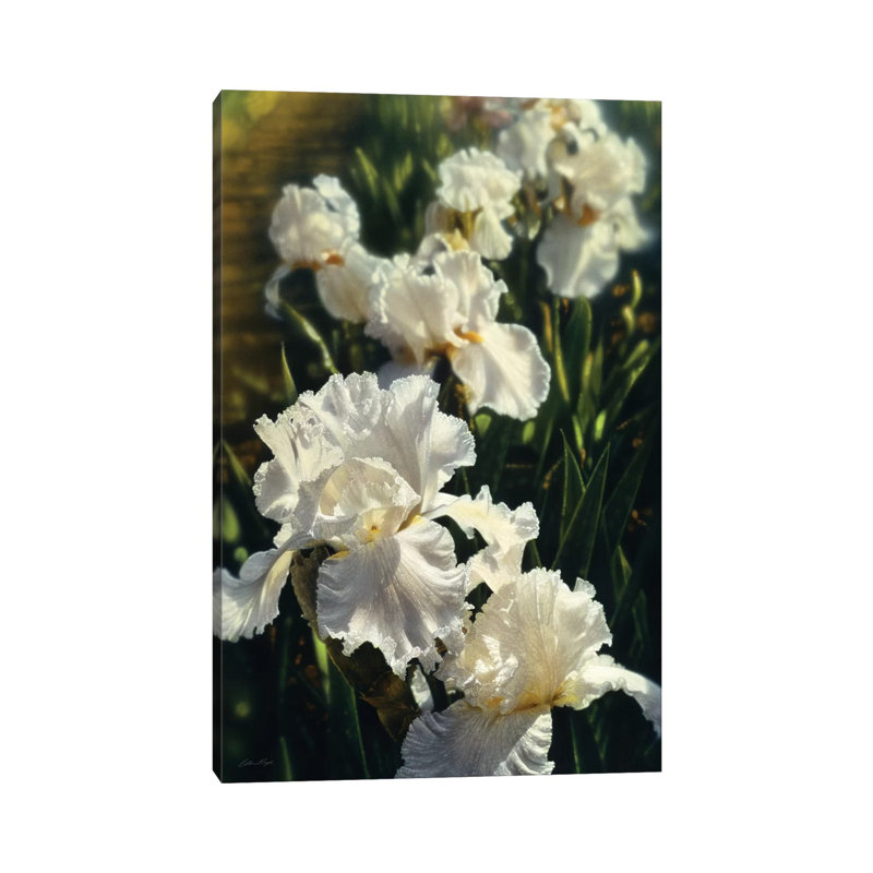 «Iris Garden» par Collin Bogle - reproduction de photo, H 40 po x l 26 po x P 1,5 po, Toile tendue, Aucun mat