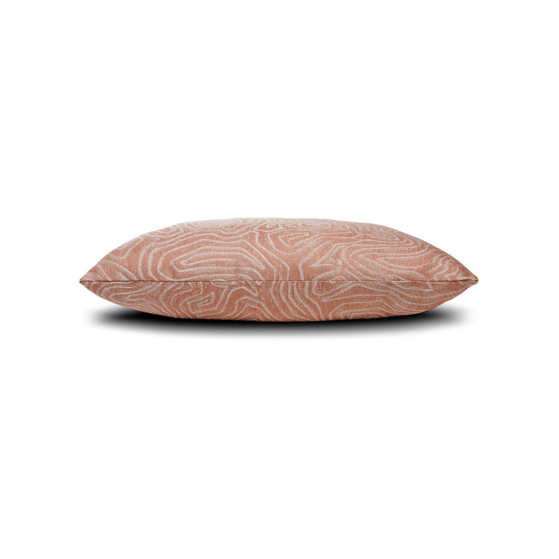 Chari Indoor & Outdoor Woven Accent Pillow, Spice, 20"H x 20"W