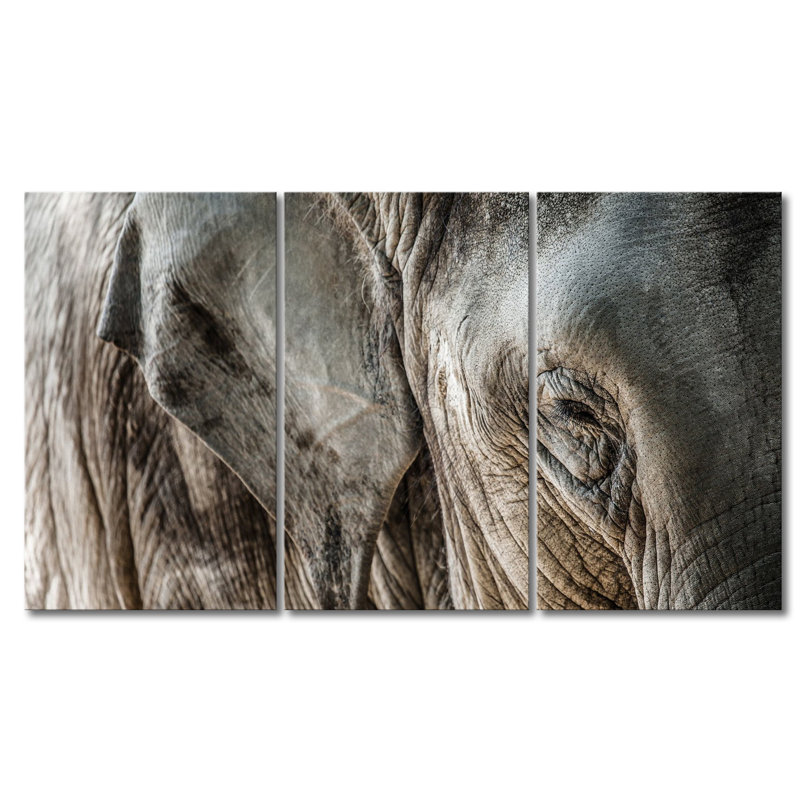 3 Piece Wall Art on Canvas