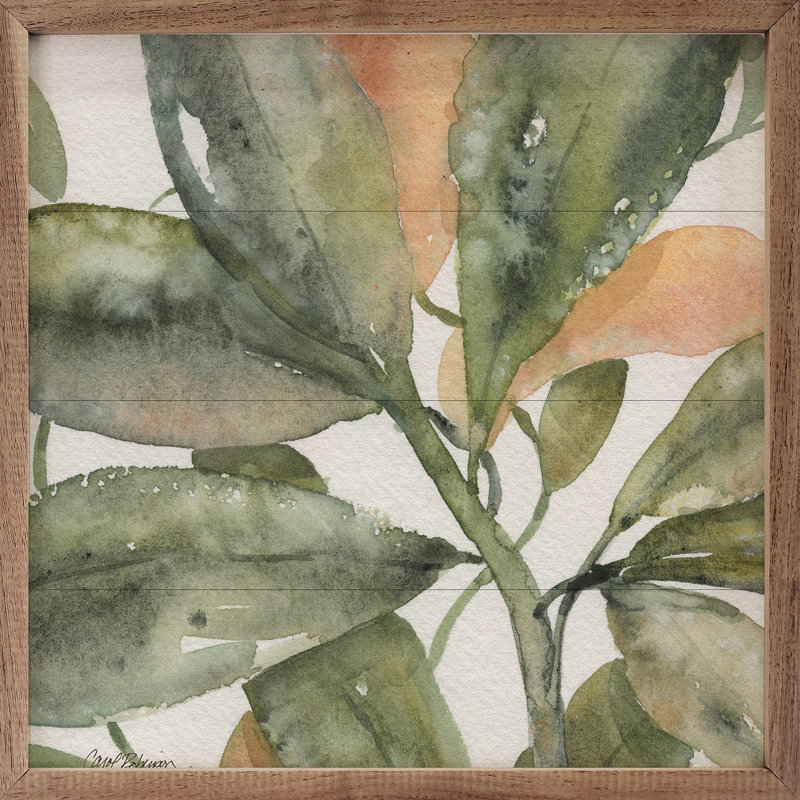 Plant Life I By Carol Robinson, H 4 po x l 4 po