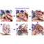 Naturel 7 pierres de chakra guérissant des arbres à quartz, des pierres précieuses tombées, un arbre d'argent, des tranches d'agate de géode, des ornements de Feng Shui à la maison pour la richesse et la chance, de 5,5 po à 6,3 po