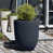 Charcoal Lite