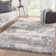 Berau Abstract Gray Area Rug