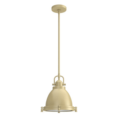 Bridgemoor 1 Light Dome Pendant