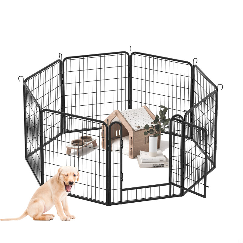 Cage pour chien avec cadre en fer forgé et ouvertures latérales, H 31,7 po x l 53,94 po x P 53,94 po