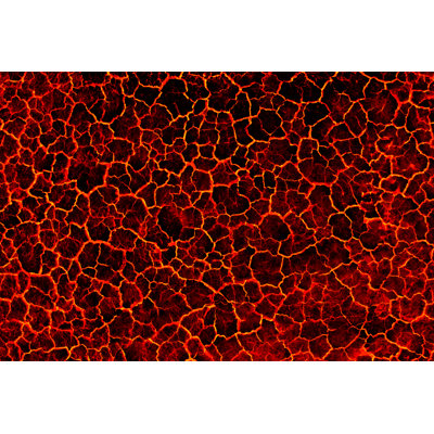 Area Lava Dry Soil Background - Print on Canvas