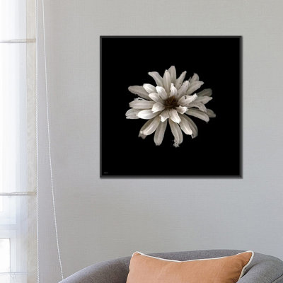 «All White», reproduction de photo sur toile