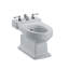Lloyd Floor Mount Bidet-1701009