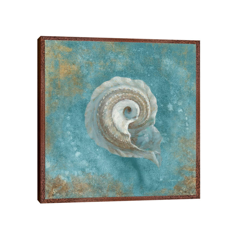 Treasures From The Sea III by Danhui Nai - Print on Canvas, Classic Brown Wood Framed, 45.72 cm H x 45.72 cm W