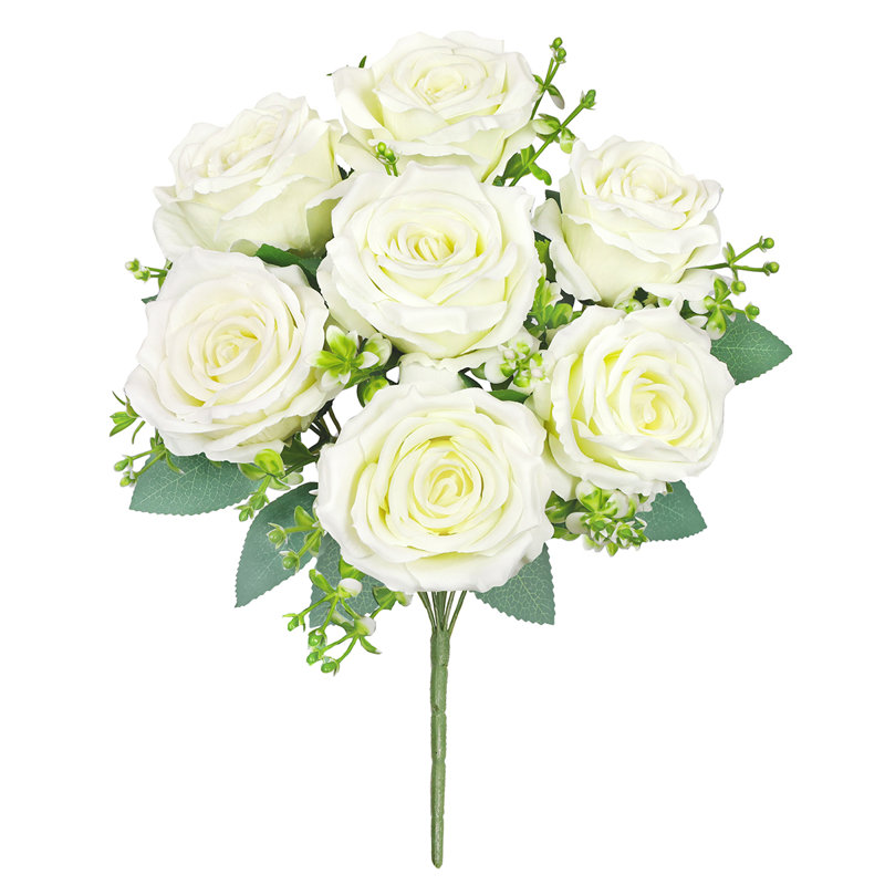 Roses, buissons, Blanc crème