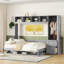 Grand lit escamotable mural avec placard et tiroirs, grand lit, gris-469965924