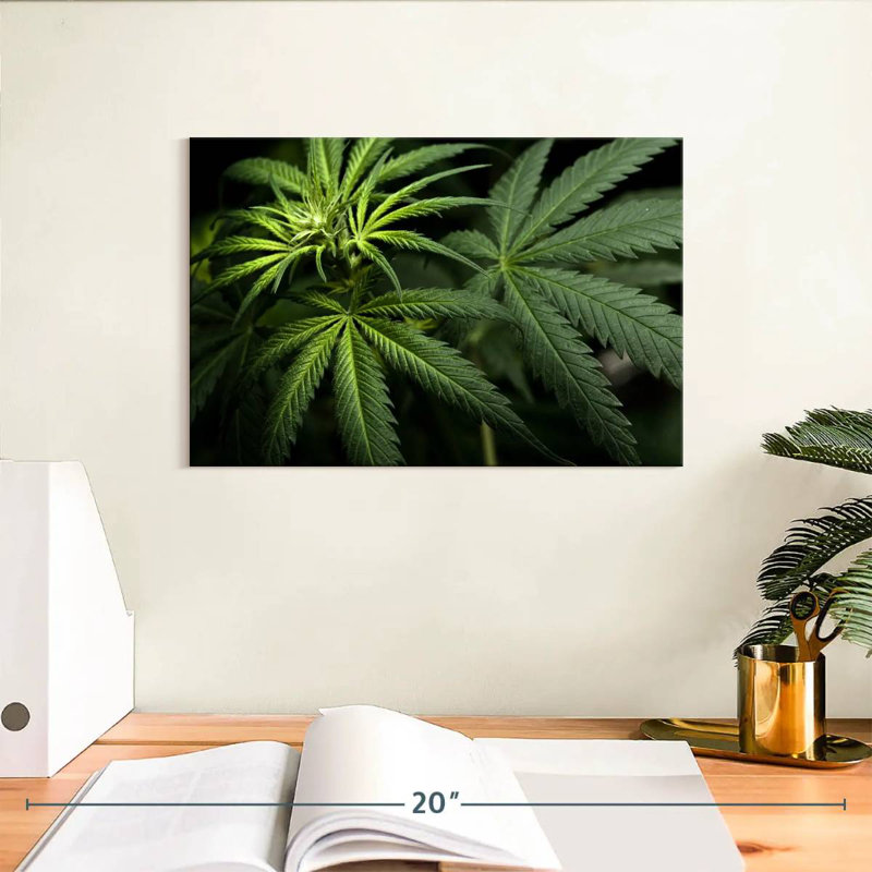 Cannabis In The Dark