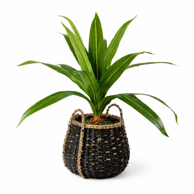 Panier noir 40 po Dracaena In Deco