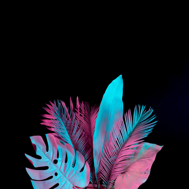 Tropical And Palm Leaves - Wrapped Canvas Print, 30cm H x 30cm W