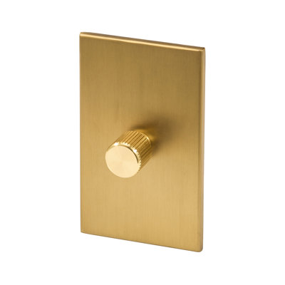 Accessory Single Dimmer In Brass
