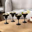 4 Piece 296ml Margarita Glass Set-502003813