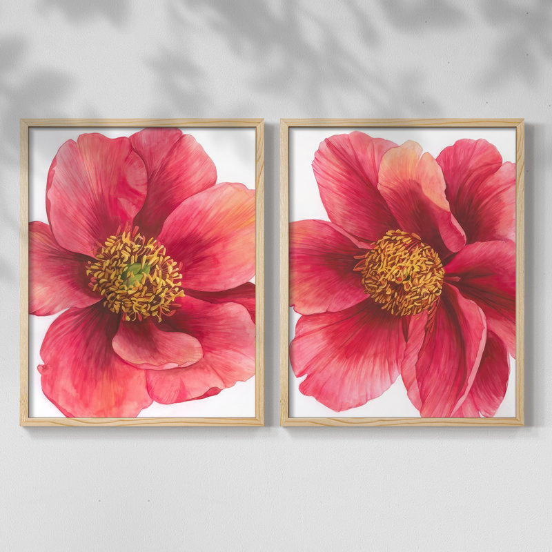 Pivoine arborescente I - impression encadrée de qualité supérieure - prête à être accrochée - aucun clou requis - aucun clou requis