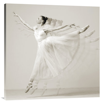 " Leaping Beauty (detail) " Black and White Photography Print