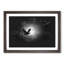 Flying Dove Bird - Picture Frame Graphic Art Print-56863235-56863234