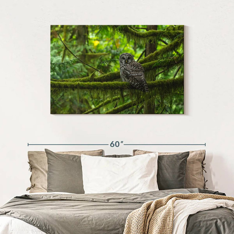 Brampt Mossy Tree Owl, 30" H x 45" W
