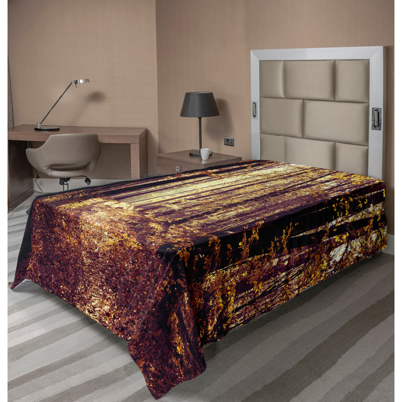 Drap-housse Ambesonne, Simple extra long