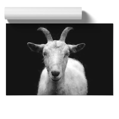 White Goat Painting - Frameless Print