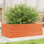 3 Wood Planter-100492006-100492018