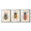 Beetle Bug I - reproduction sur mesure encadrée de qualité supérieure - 3 pièces-597752068-597752064