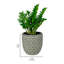 Pot à fleurs avec réservoir Delshire-2031148874-2031148876