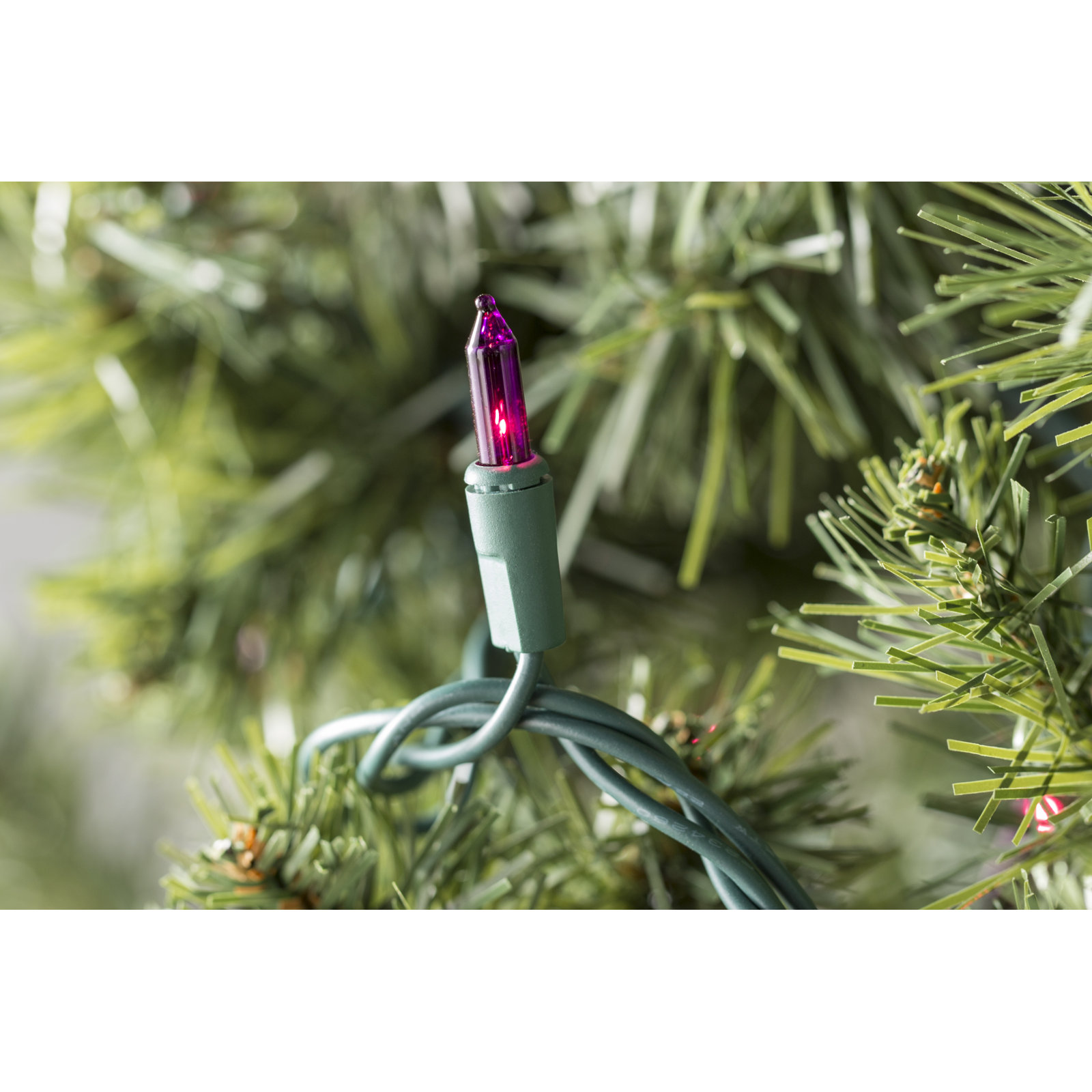 50.5' 100-Light String Lights, Purple