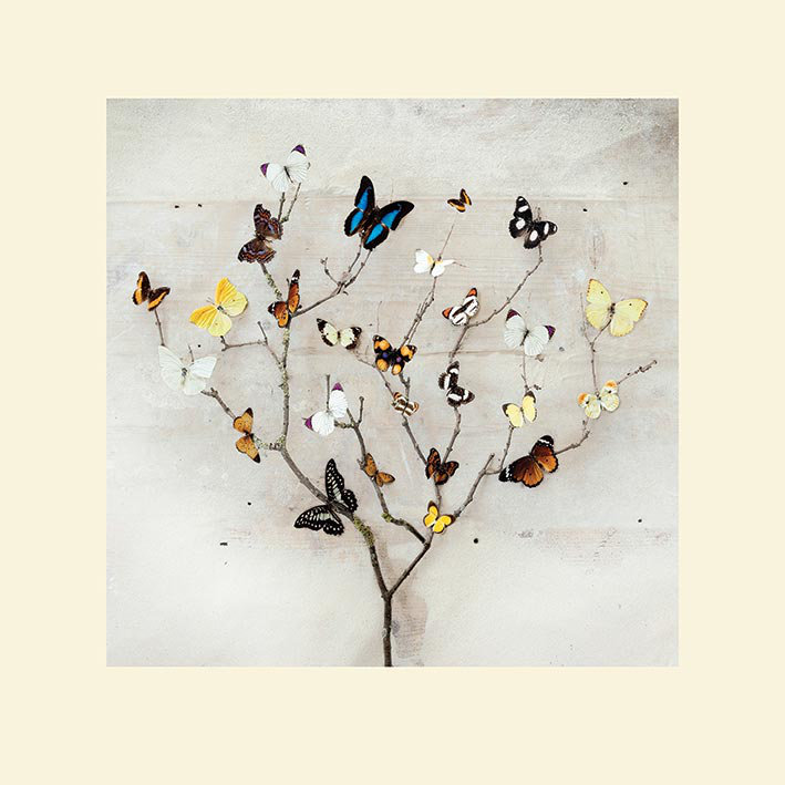 Ian Winstanley - Print