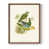 Brown Single Picture Framed selected
