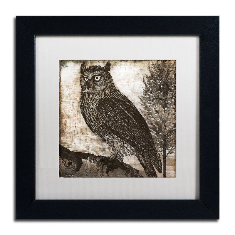 Jadaya «Owl 2» par Color Bakery, impression encadrée, H 11 po x l 14 po x P 0,5 po, Blanc