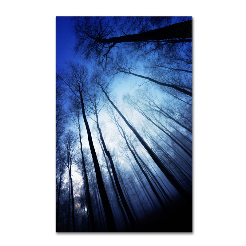 Blue Forest Landscape Canvas Art by Philippe Sainte-Laudy