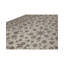 Hand-Knotted High-Quality Ivory Area Rug