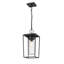 Lanterne suspendue d'extérieur 1 lumière noire Jadine-2055185681
