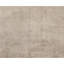 Abstract Area Rug in Taupe